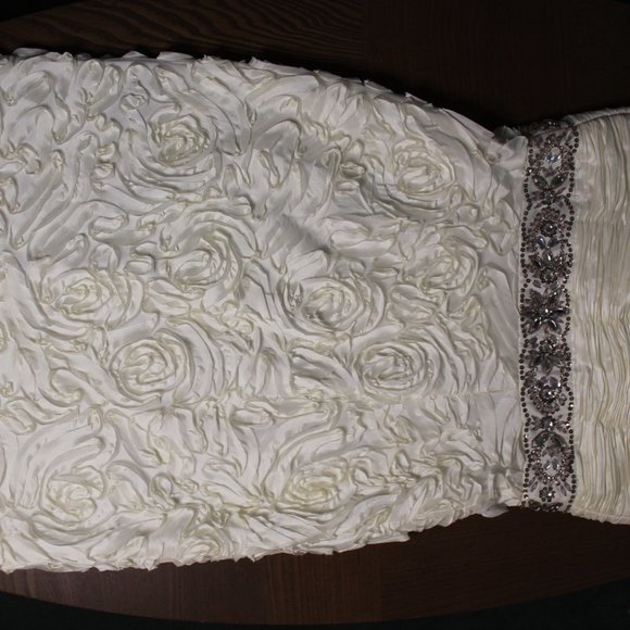 Formal/Wedding Dress - Picture 11 of 11